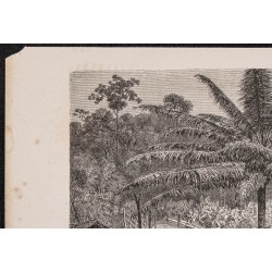 Gravure de 1865 - Village gabonais de Chinchoua - 2