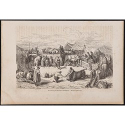 Gravure de 1865 - Un herradero (Marquage) - 1