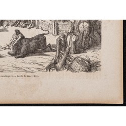 Gravure de 1865 - Un herradero (Marquage) - 5