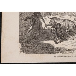 Gravure de 1865 - Course et lâcher de taureau - 4
