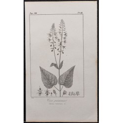 Gravure de 1846 - Circée de Paris - 1