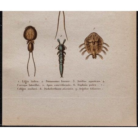 SURCOUF SUR LE Hasard /Marine/ Gravure ancienne en couleur / Alfred Paris EUR 11,00 - FR