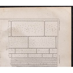 Gravure de 1878 - Structure et composition de la canne à sucre - 3