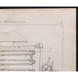 Gravure de 1878 - Râpage des pommes de terre - 3