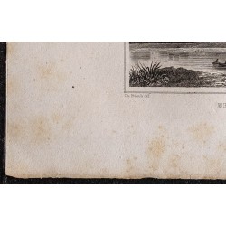 Gravure de 1839 - Meung-sur-Loire - 4