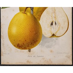 Gravure de 1887 - La Poire - 3