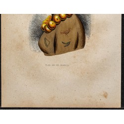 Gravure de 1843 - Reine des îles Sandwich (Hawaï) - 3