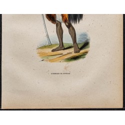 Gravure de 1843 - Guerrier maori de Nouvelle Zélande - 3