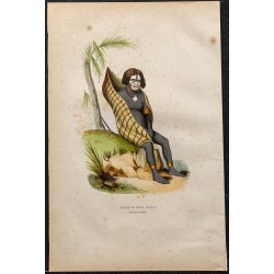 Gravure de 1843 - Papou de Nouvelle-Irlande - 1