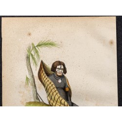 Gravure de 1843 - Papou de Nouvelle-Irlande - 2