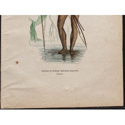 Gravure de 1843 - Papou de Nouvelle Guinée - 3