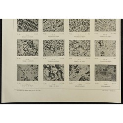 1908 - Micrographies des fontes 