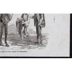 1861 - Poulain pur sang anglais 