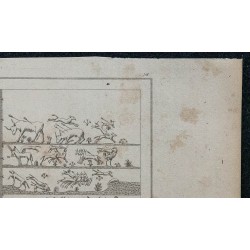 1839 - Chasses en Égypte 