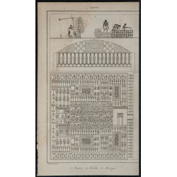 1839 - Irrigation et Plantation des jardins en Égypte 