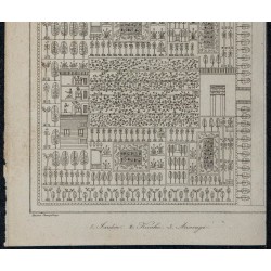 1839 - Irrigation et Plantation des jardins en Égypte 