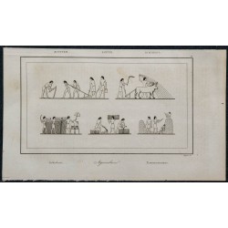 1839 - Agriculture égyptienne 