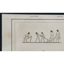1839 - Agriculture égyptienne 