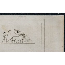 1839 - Agriculture égyptienne 