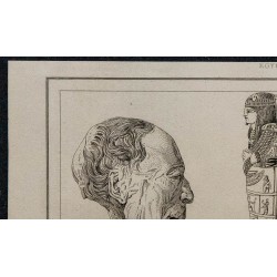 1839 - Têtes et sarcophages de Momies 