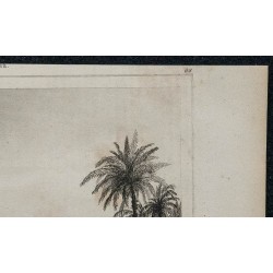 1839 - Tombeaux près du Ramesséum 
