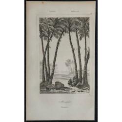 1839 - Memphis 