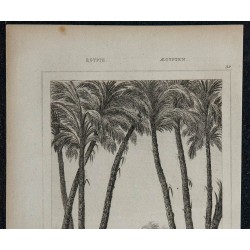 1839 - Memphis 