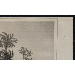 1839 - Arc de Triomphe à Antinoë (Antinoupolis) 