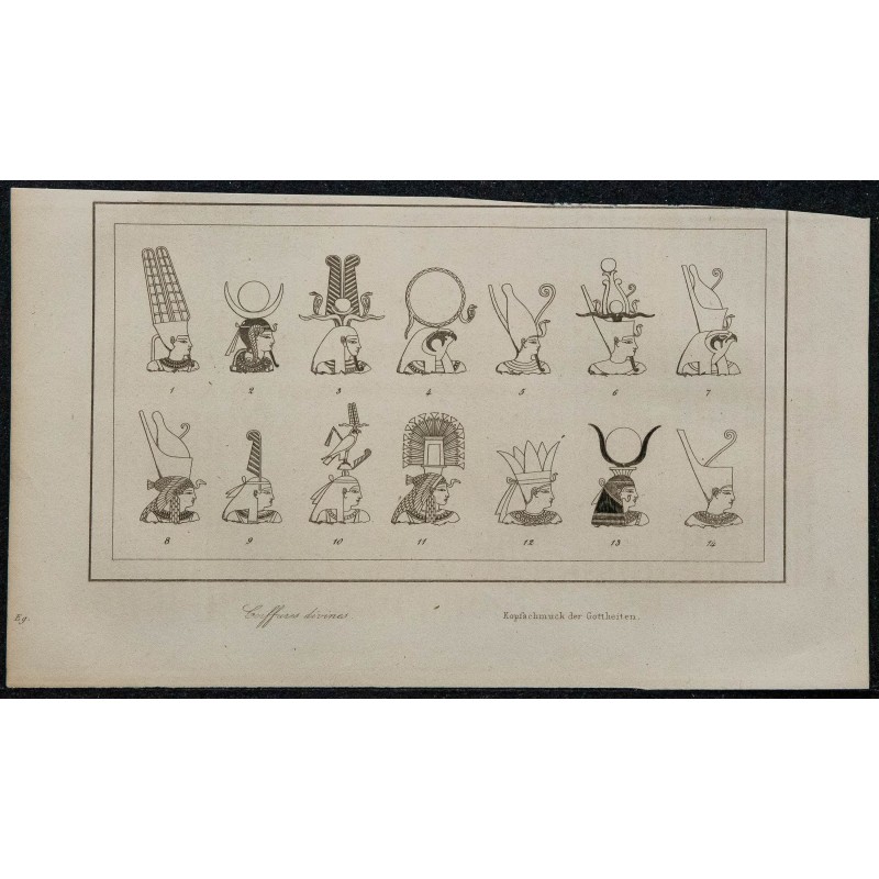 1839 - Coiffures divines 1839 - Coiffures divines
