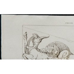 1841 - Bas-relief : Lion et Taureau à Persépolis 