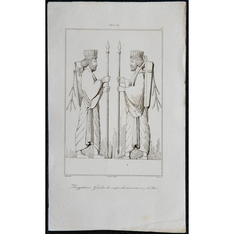 1841 - Doryphores 