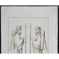 1841 - Doryphores 