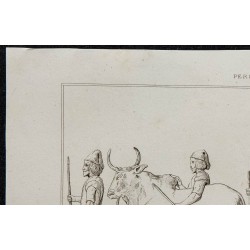 1841 - Zébus et chameaux 