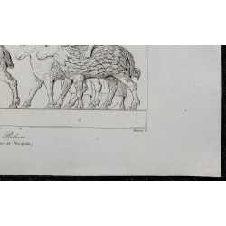 1841 - Cheval & Béliers 