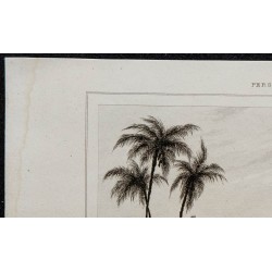 1841 - Paysage urbain de Bouchehr 