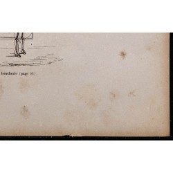 1860 - Squelette du bœuf de boucherie 