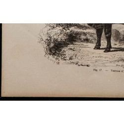 1860 - Taureau d’Aubrac 