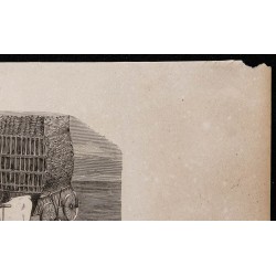 1860 - Attelage de bœufs moldaves 