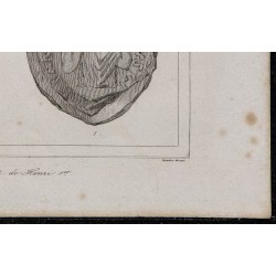 1844 - Sceau de Robert et Henri Ier 