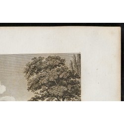 Gravure de 1829 - Château d'Anet - 3