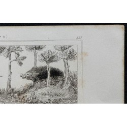1844 - Scènes de chasse médiévales 