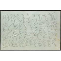 1836 - Bois de cervidés 