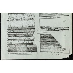1836 - Coupes géologiques du Gypse à Montmartre 