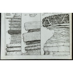 1844 - Coupes géologiques des Fiz, Lausanne et Vevey 