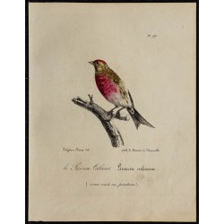 1830 - Sizerin cabaret 