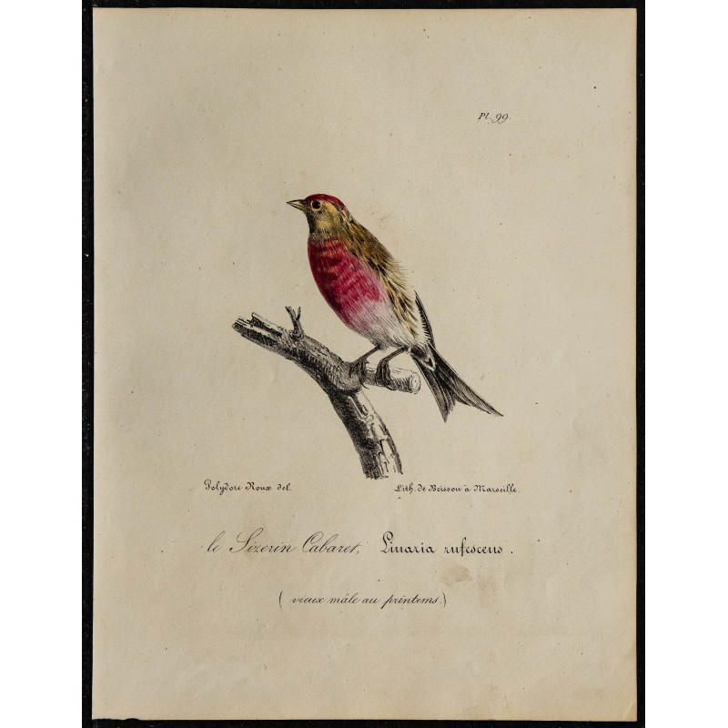 1830 - Sizerin cabaret 1830 - Sizerin cabaret