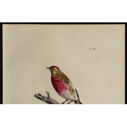 1830 - Sizerin cabaret 