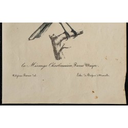 1830 - Mésange charbonnière 