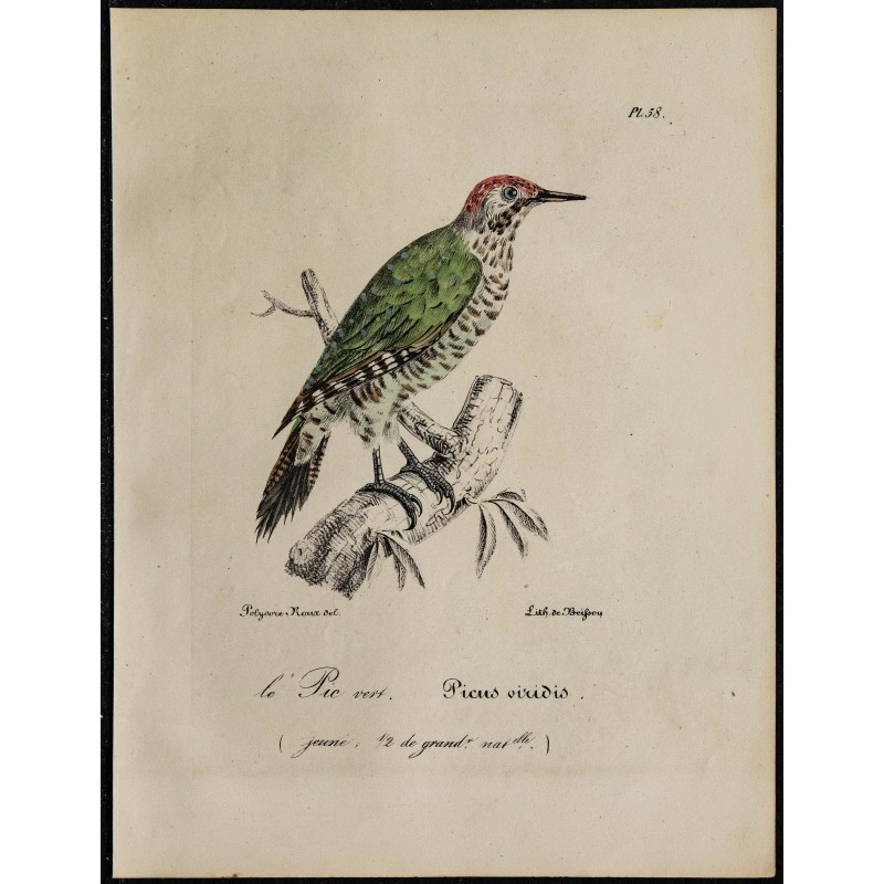 1830 - Pic vert 1830 - Pic vert