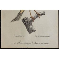 1830 - Bruant proyer 